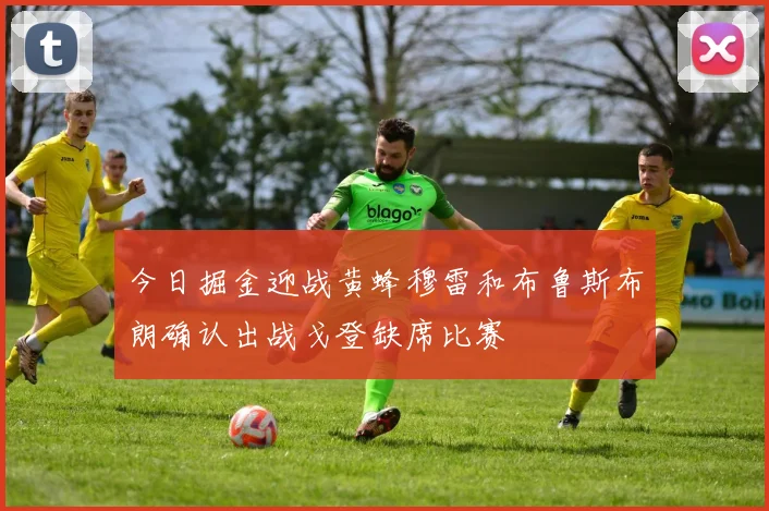 今日掘金迎战黄蜂穆雷和布鲁斯布朗确认出战戈登缺席比赛