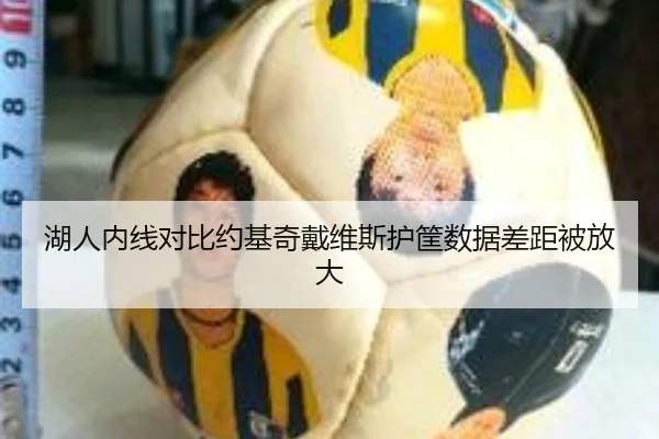 湖人内线对比约基奇戴维斯护筐数据差距被放大（milan）